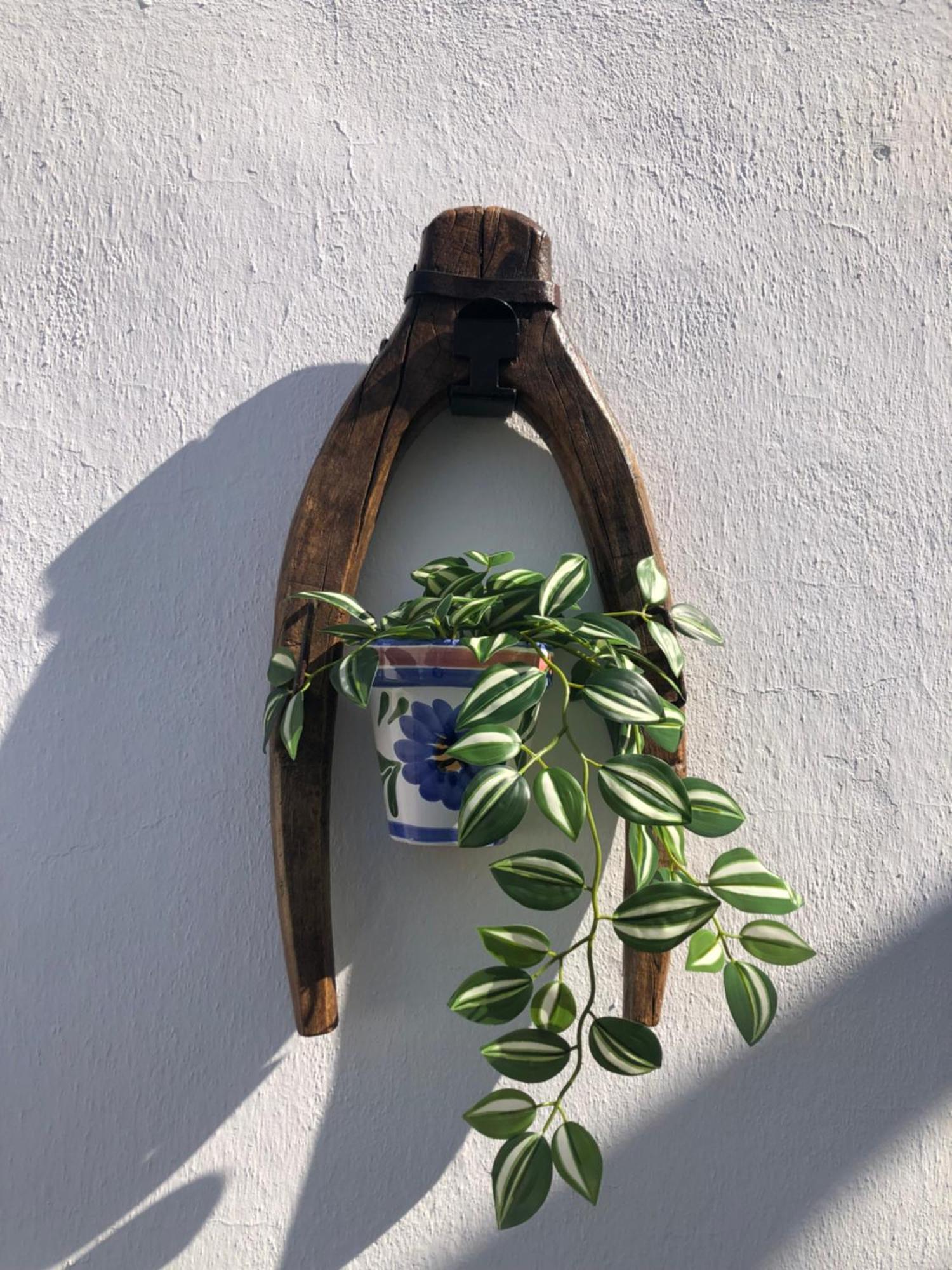 Casa Campina Jerezana Torrecera