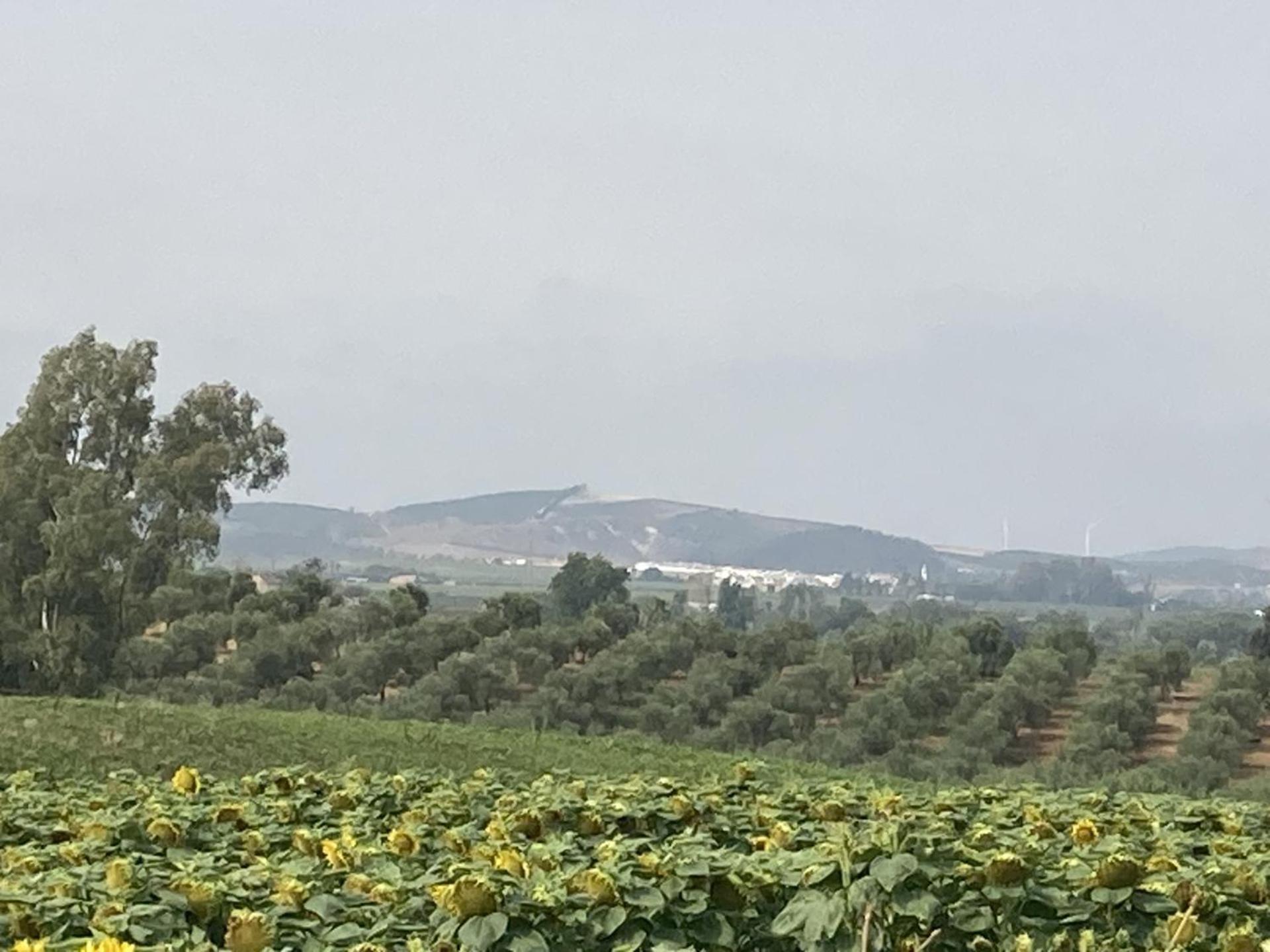 Casa Campina Jerezana *