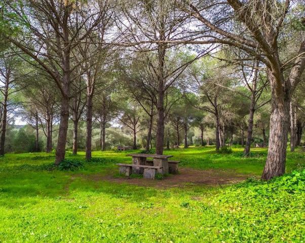 Holiday home Casa Campina Jerezana
