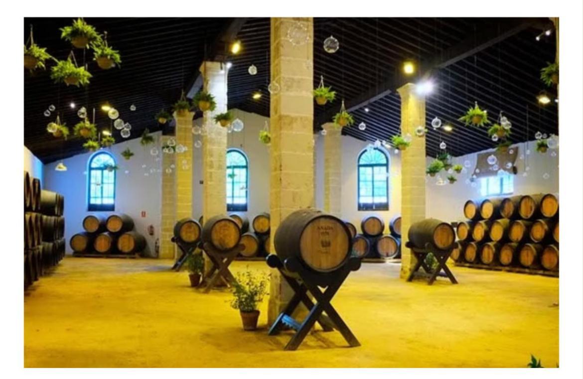 Casa Campina Jerezana * Torrecera