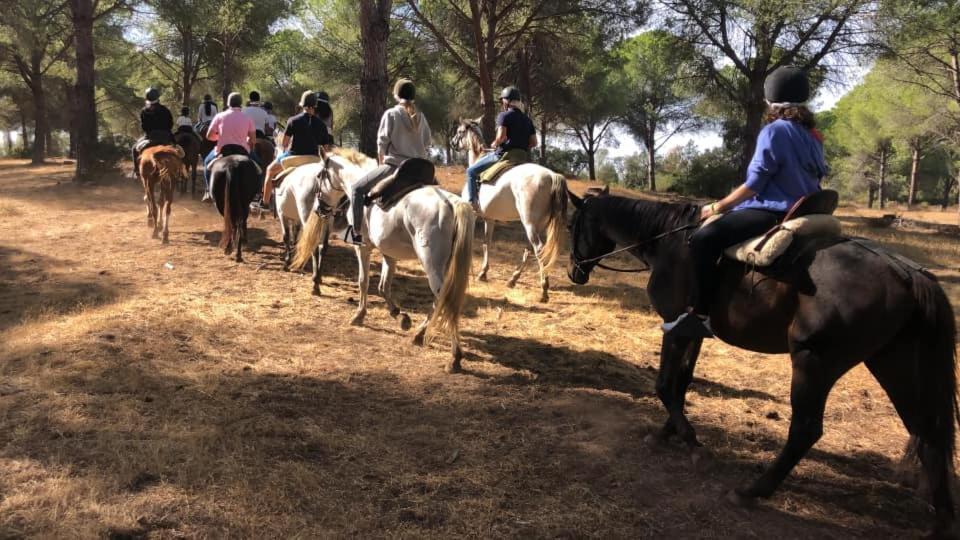 Casa Campina Jerezana Hébergement de vacances *